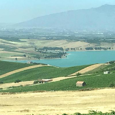 Vini Sicilia Guastella Azienda Agricola Palermo 2