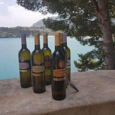 Uve E Vini Guastella Palermo Partinico 4