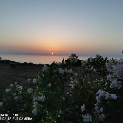 Vini Sicilia Guastella Azienda Agricola Palermo 10