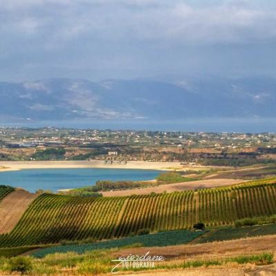 Vini Sicilia Guastella Azienda Agricola Palermo 17