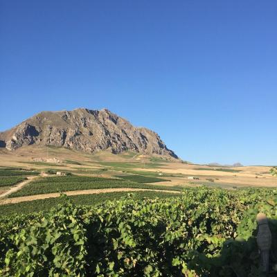 Vini Sicilia Guastella Azienda Agricola Palermo 6