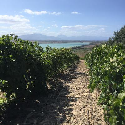 Vini Sicilia Guastella Azienda Agricola Palermo 7